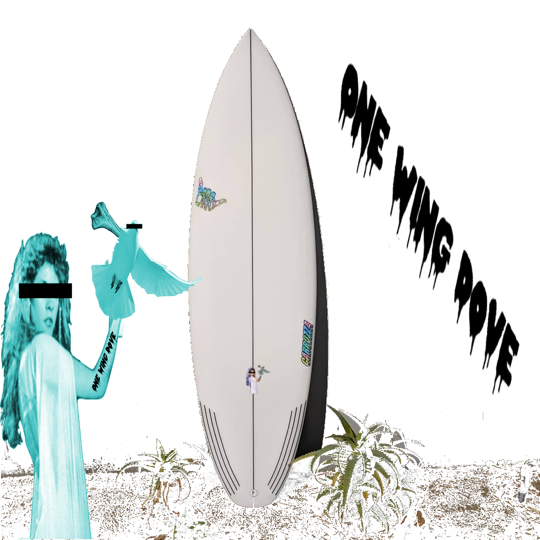 One Wing Dove High Performance Daily Driver Surfboard Carrozza Surfboards